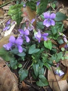 �v�X�̃u���O�ł�