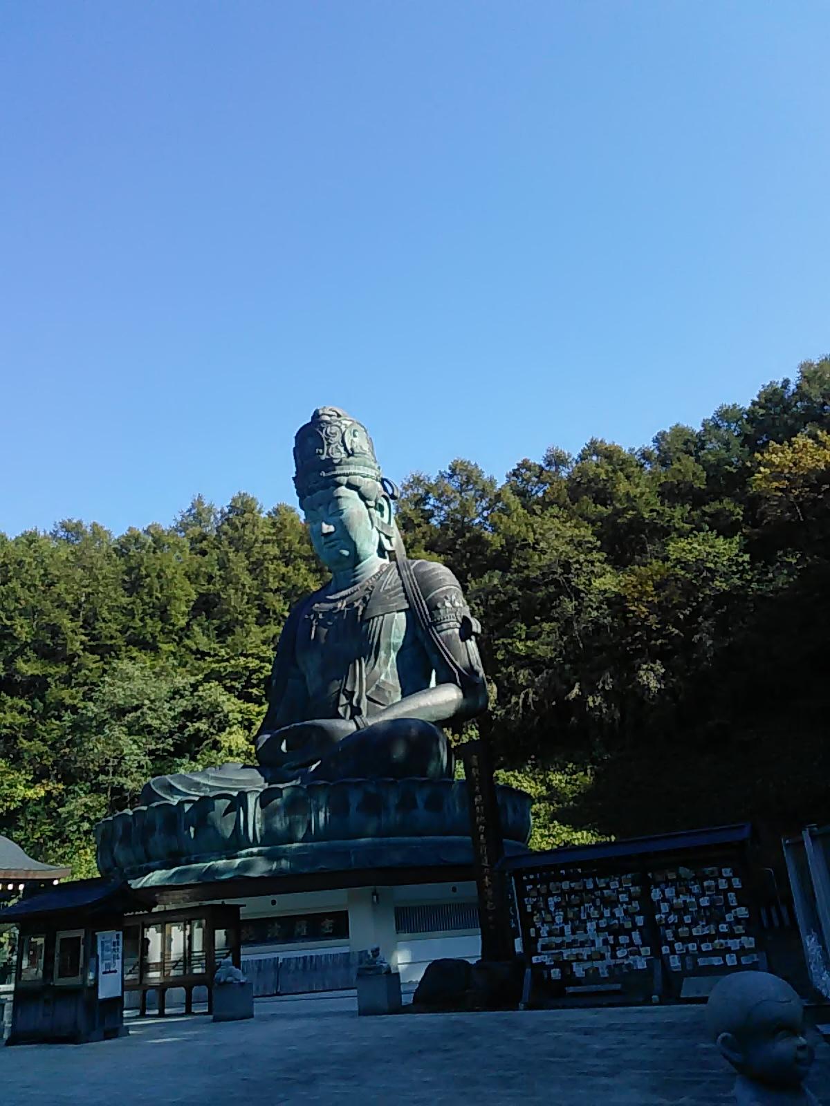 �H�̎��R�Ə��a�啧�̂��p