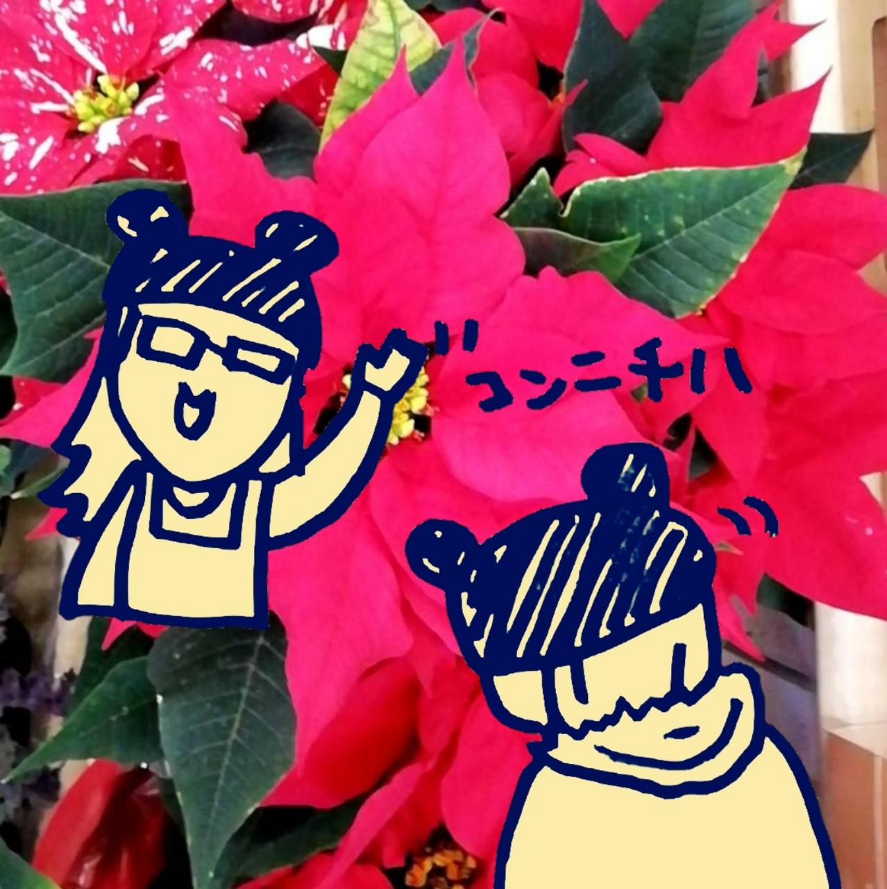 ���R�Ƃ͕K�R�H�H�s���̑I��