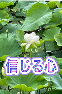 �M���֌WR4.11.03����