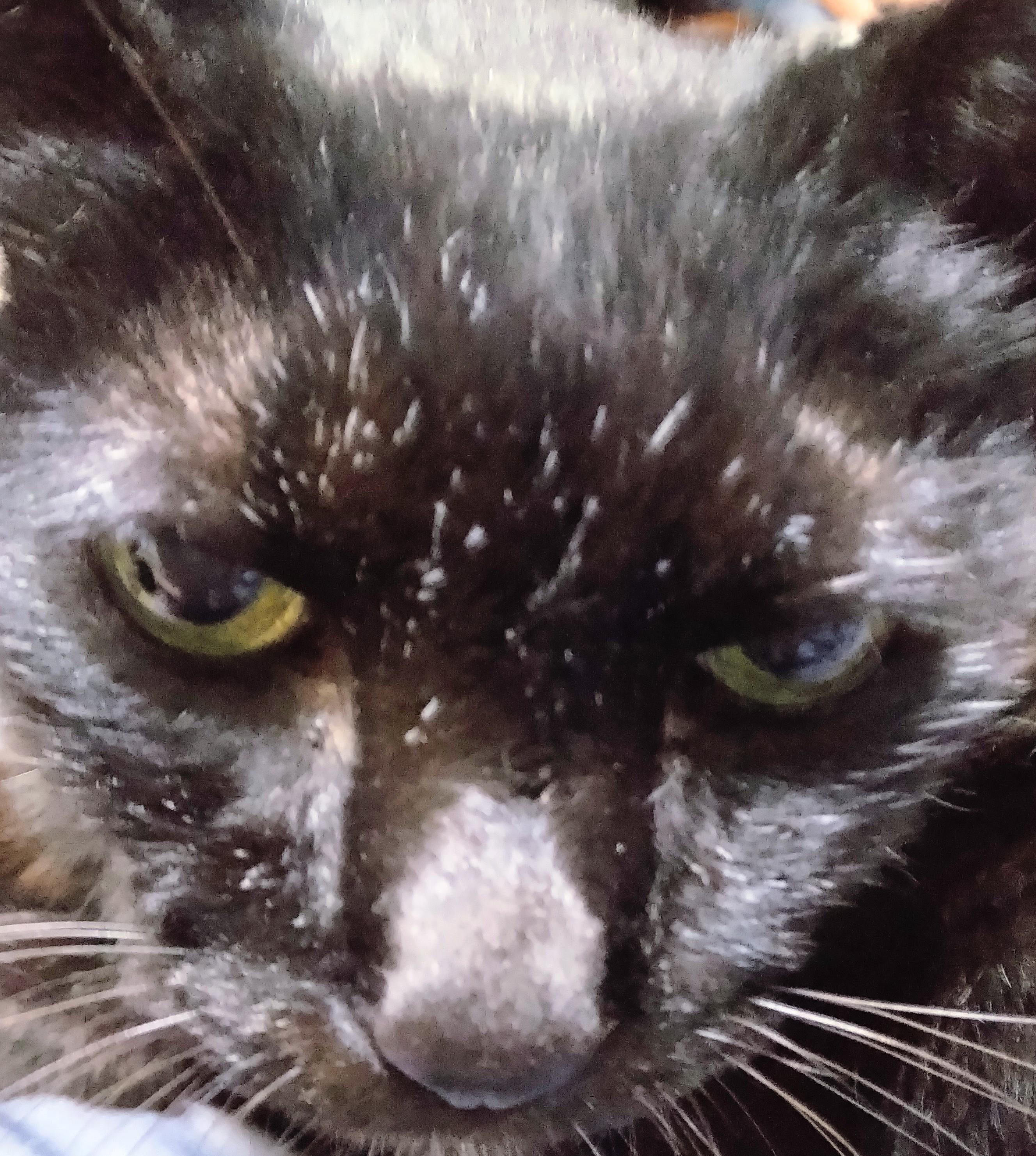 10���ł���