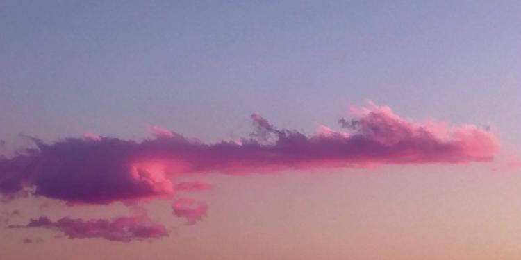 �g���������Ɩ��Â��恙