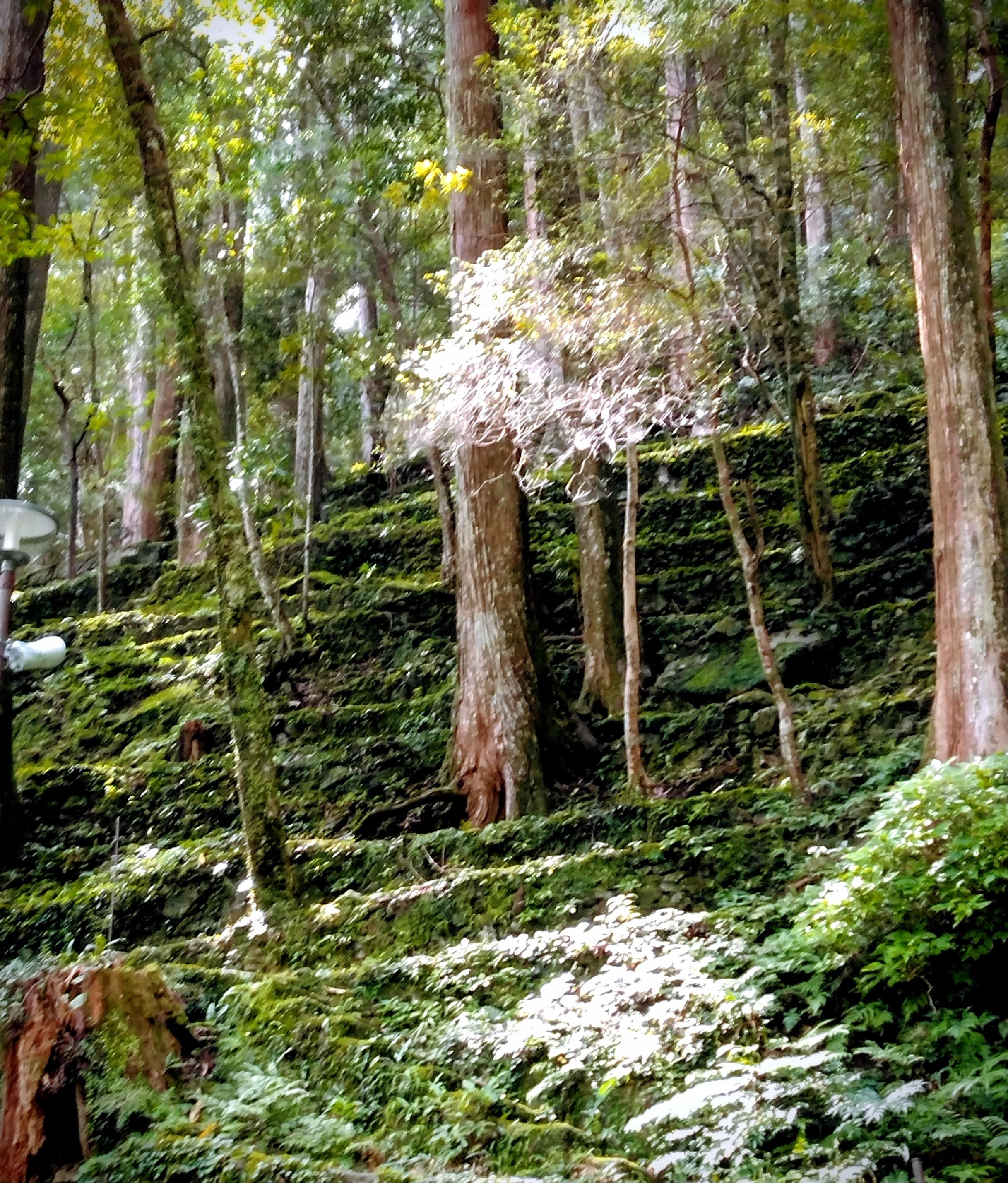 ��l�łȂ�o���邱��