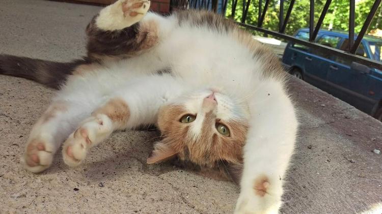 �~���N���`�i^^�j