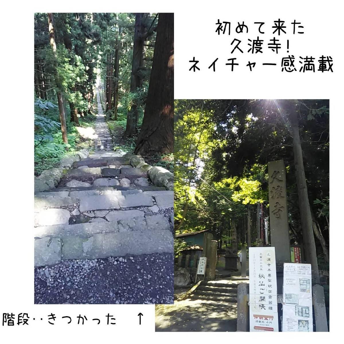 �O�O�_�Е��t��5�@���[�Ȃ��K�i