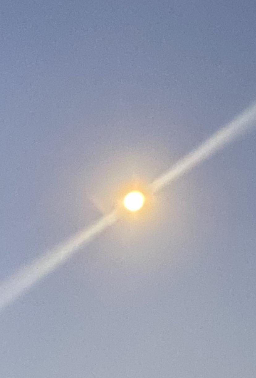 �������������܂���`�I