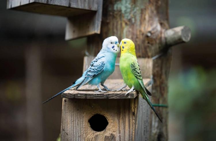 �u���b�N����Ă����ނ��ˑR��ɗ������R