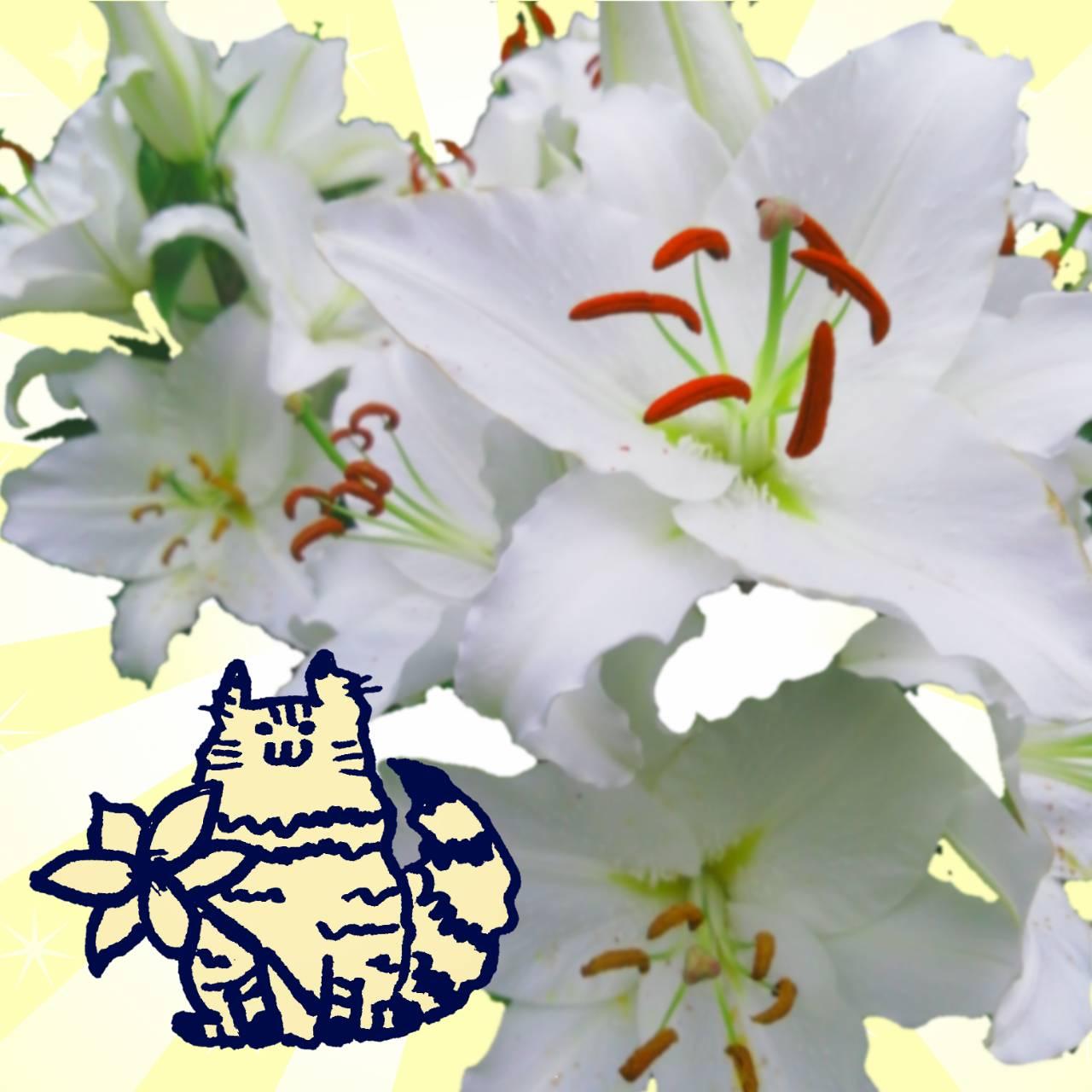 7���������ŏI���