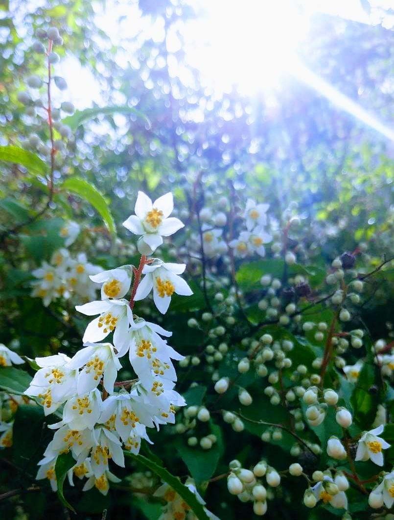 ���Ȃ��̍K����