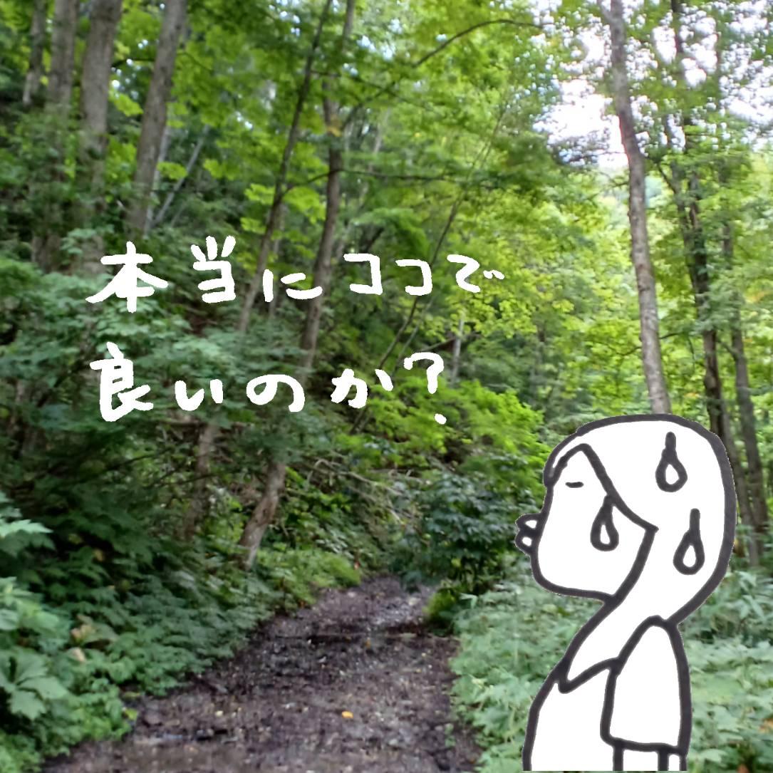 鋫̐_Ќ/ِE̐_ЃhCu