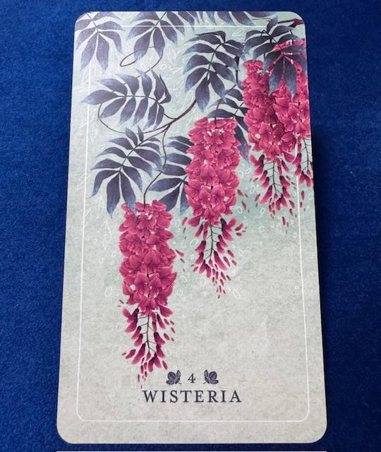 ��̂��܂���I���N��