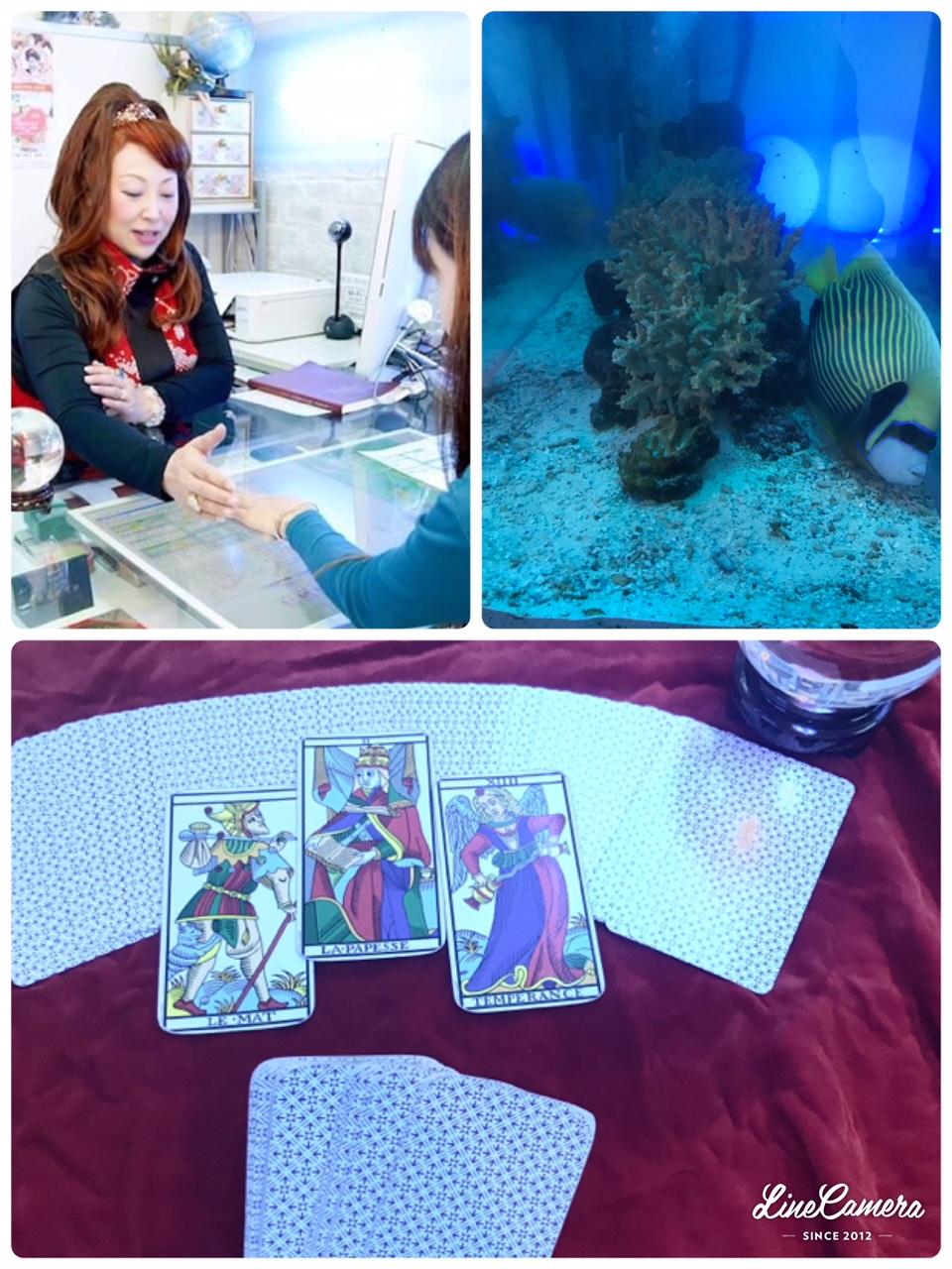 �_�l����̃��b�Z�[�W