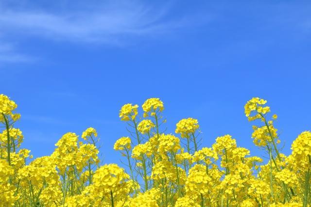 �S�̃o�����X������������