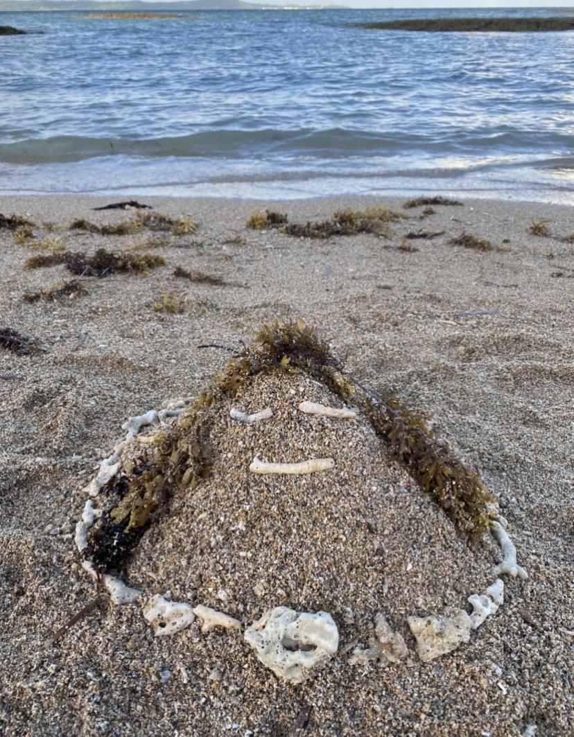 �䕗������