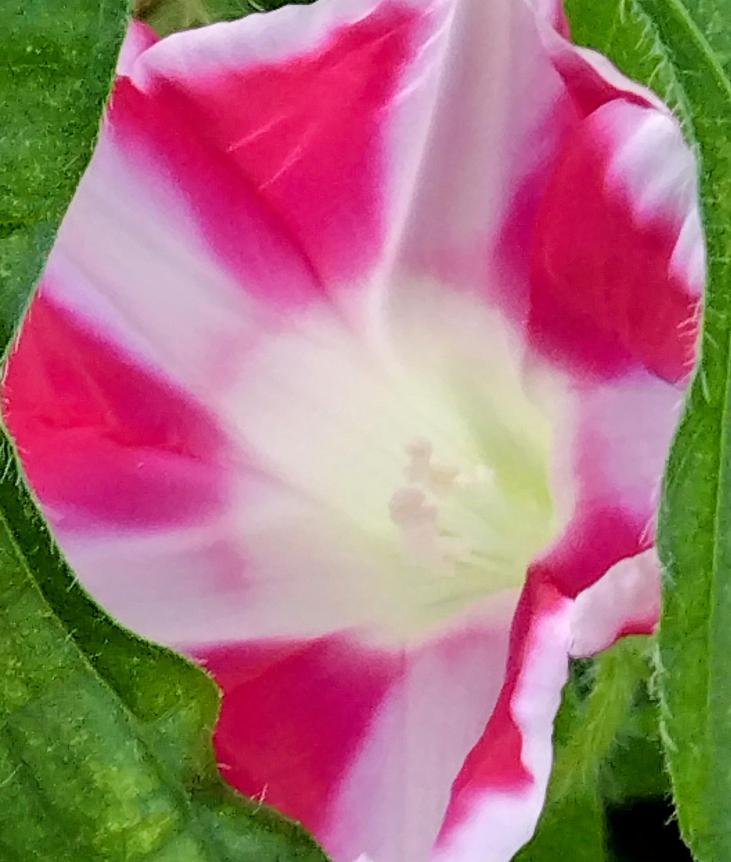 �T�����������