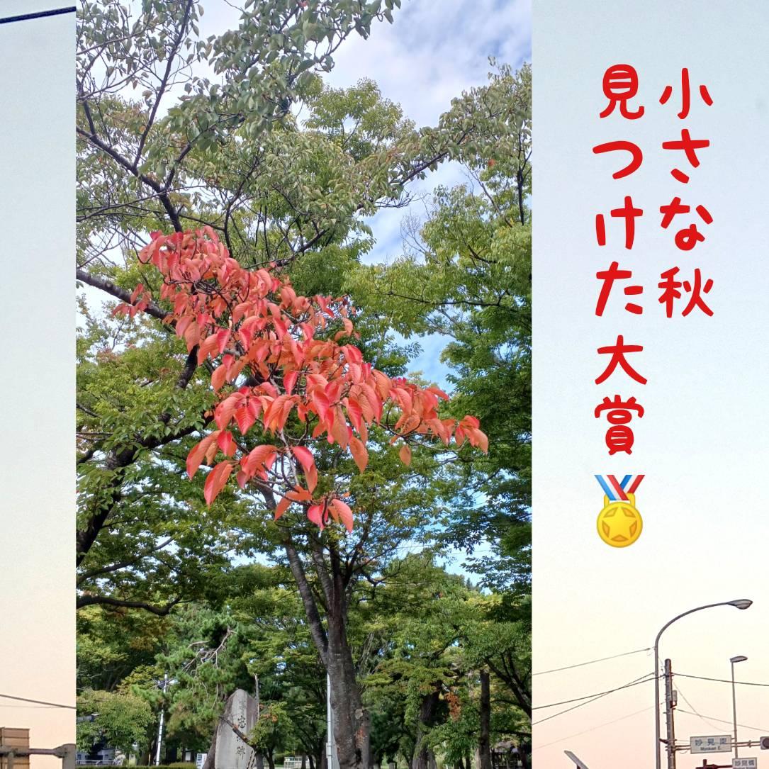 �y �����ȏH�A��������� �z