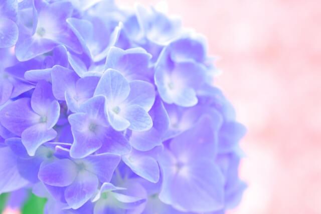 ���A�l�̃p���[�i^^�j