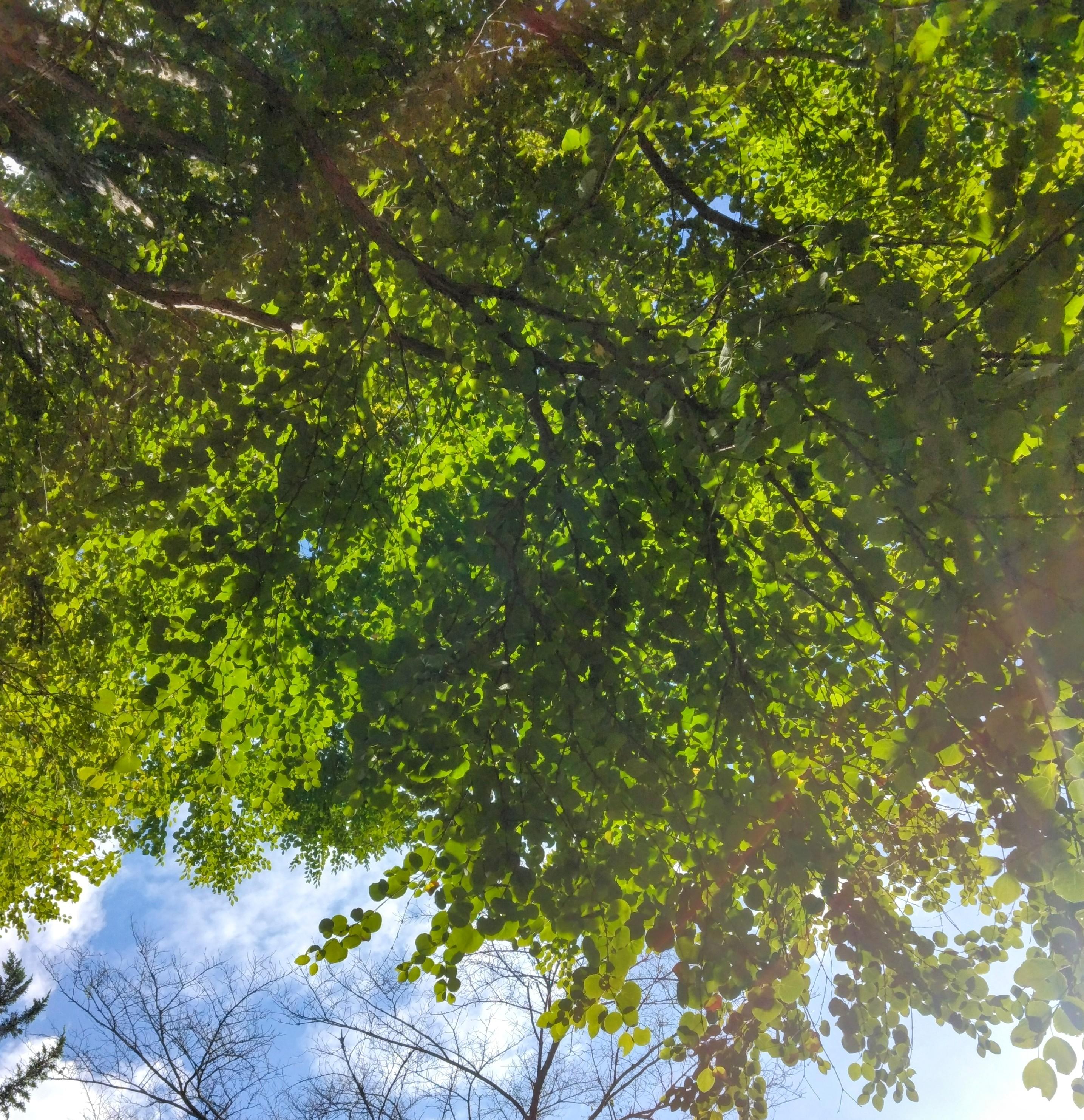 �L���L�����関����