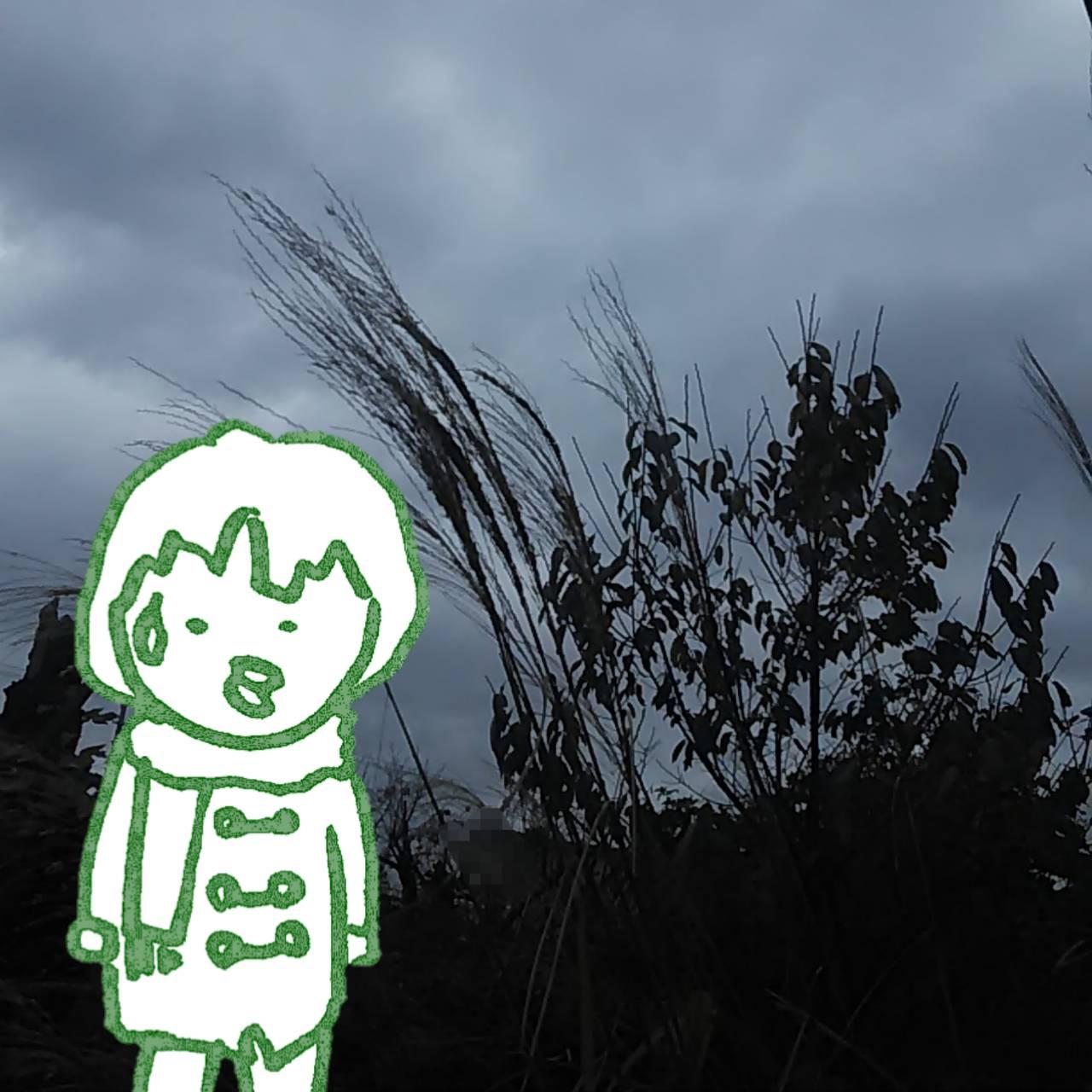 ���ɂ����B�~�̑����B