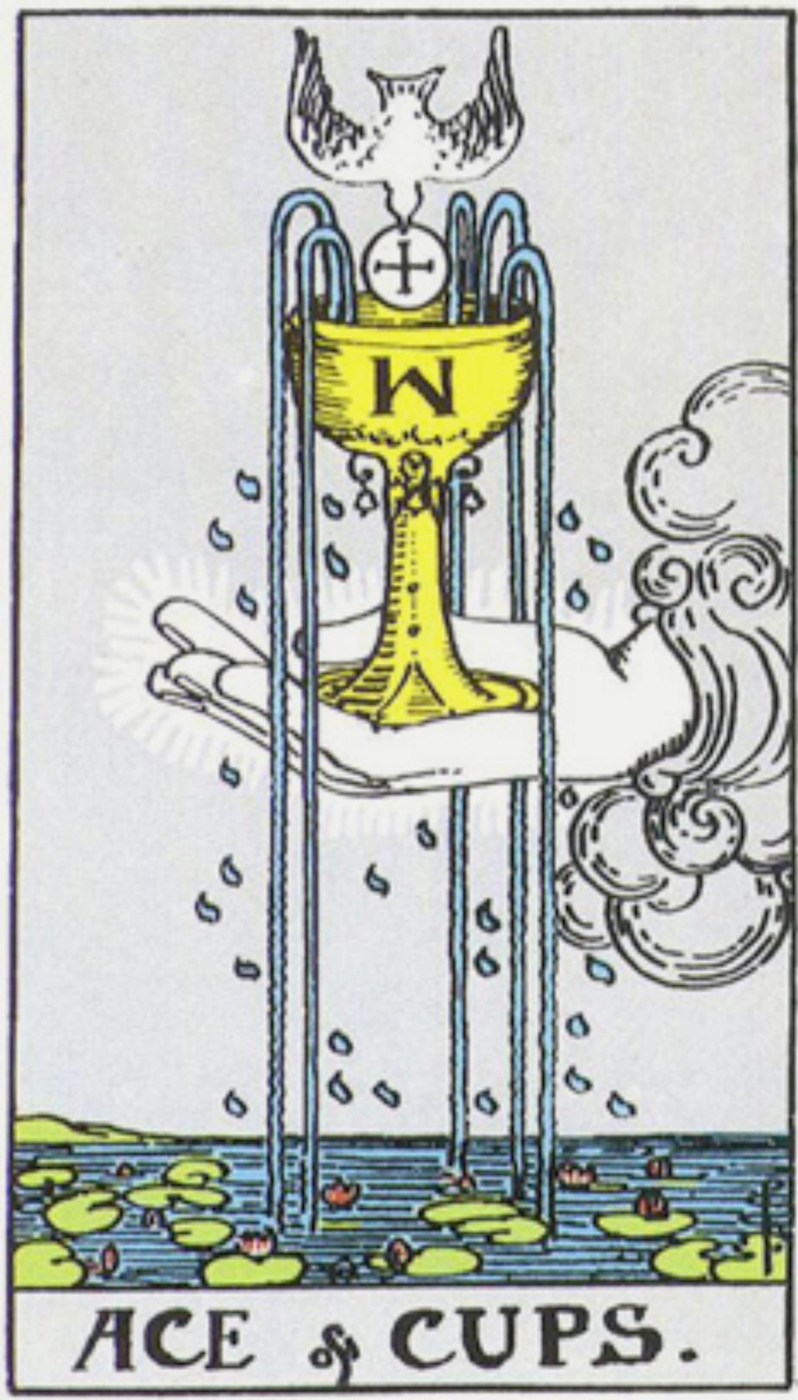 �y1979�N3��19���j���z