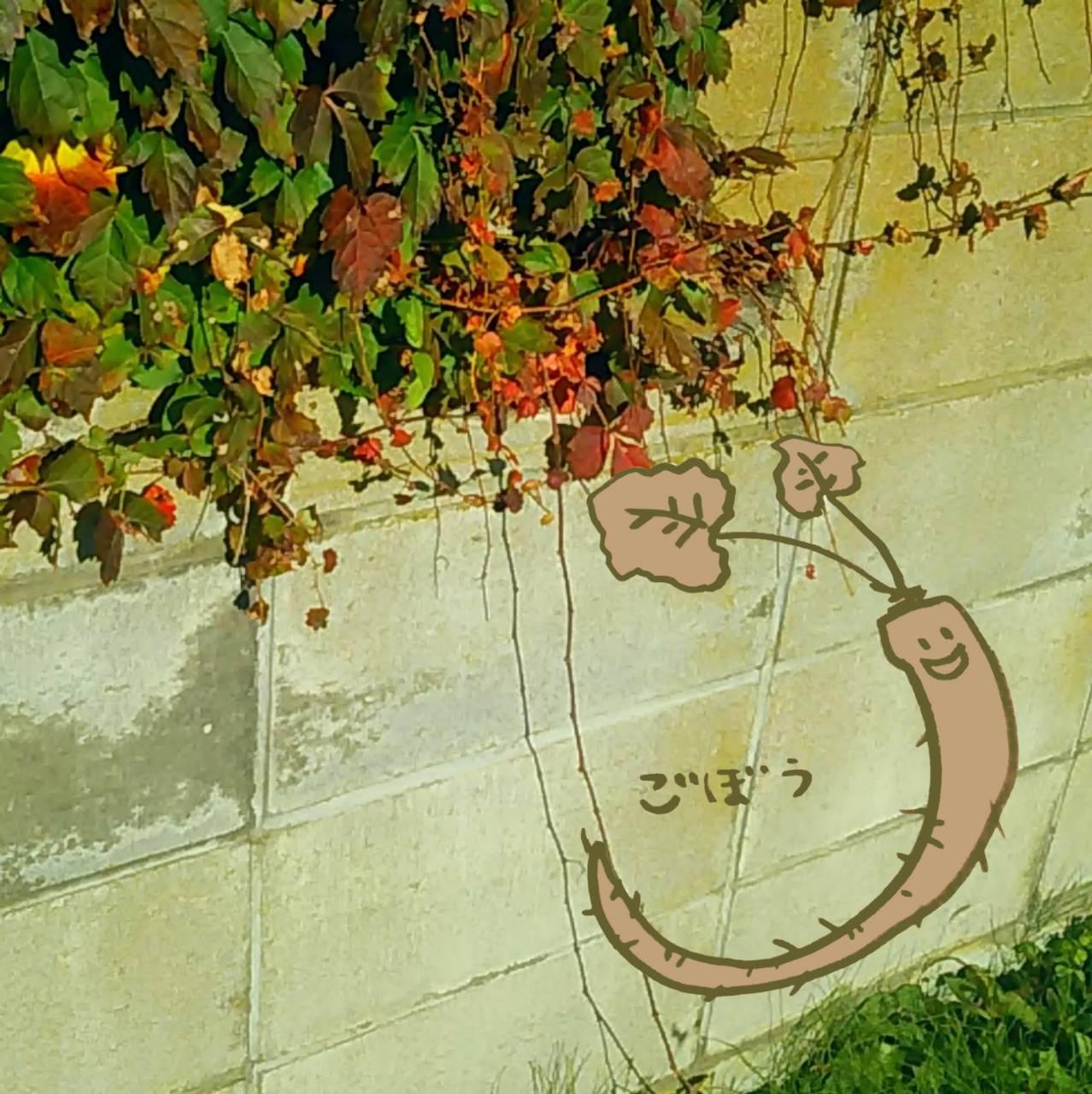 ���J�^�̂��ڂ� �O�ցO