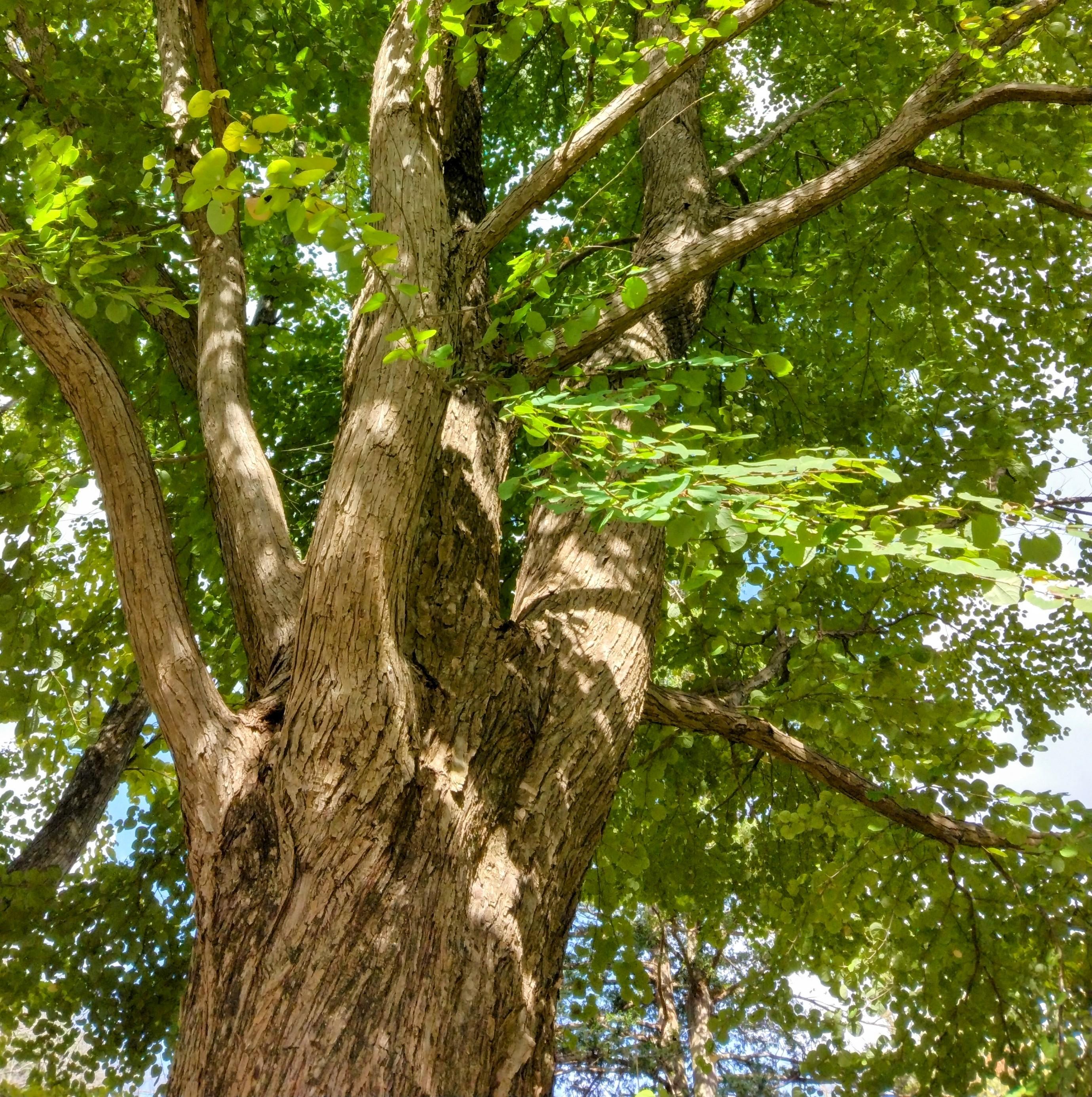 ���𐟂܂���