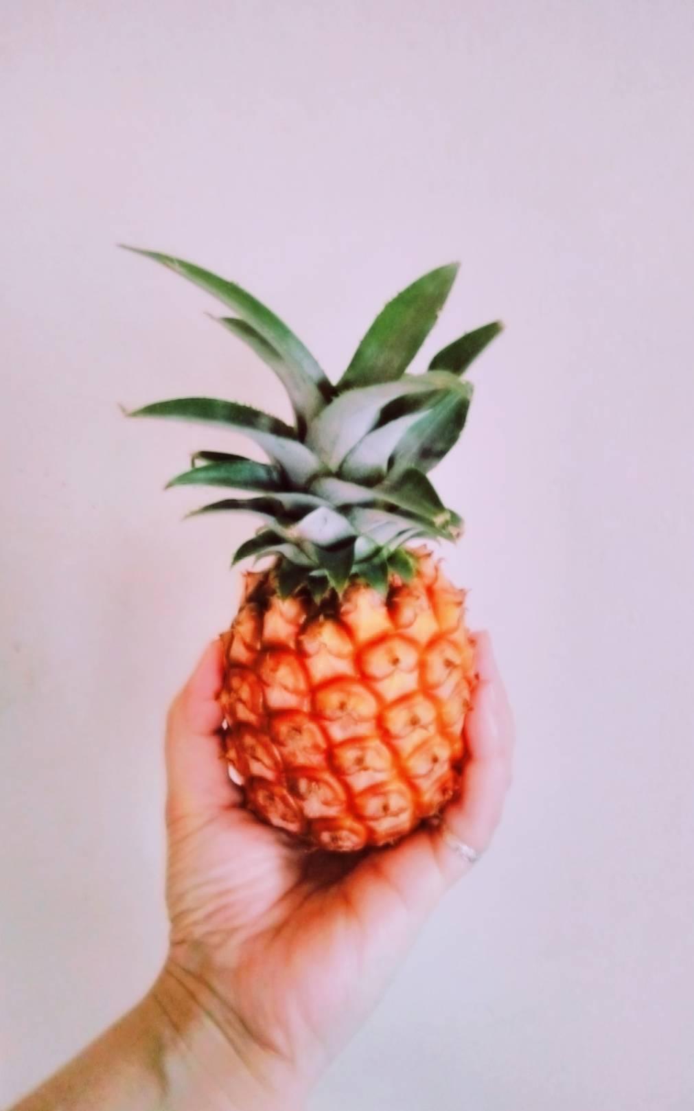 �p�C�������񂹁i���T���j�̎G�k��j