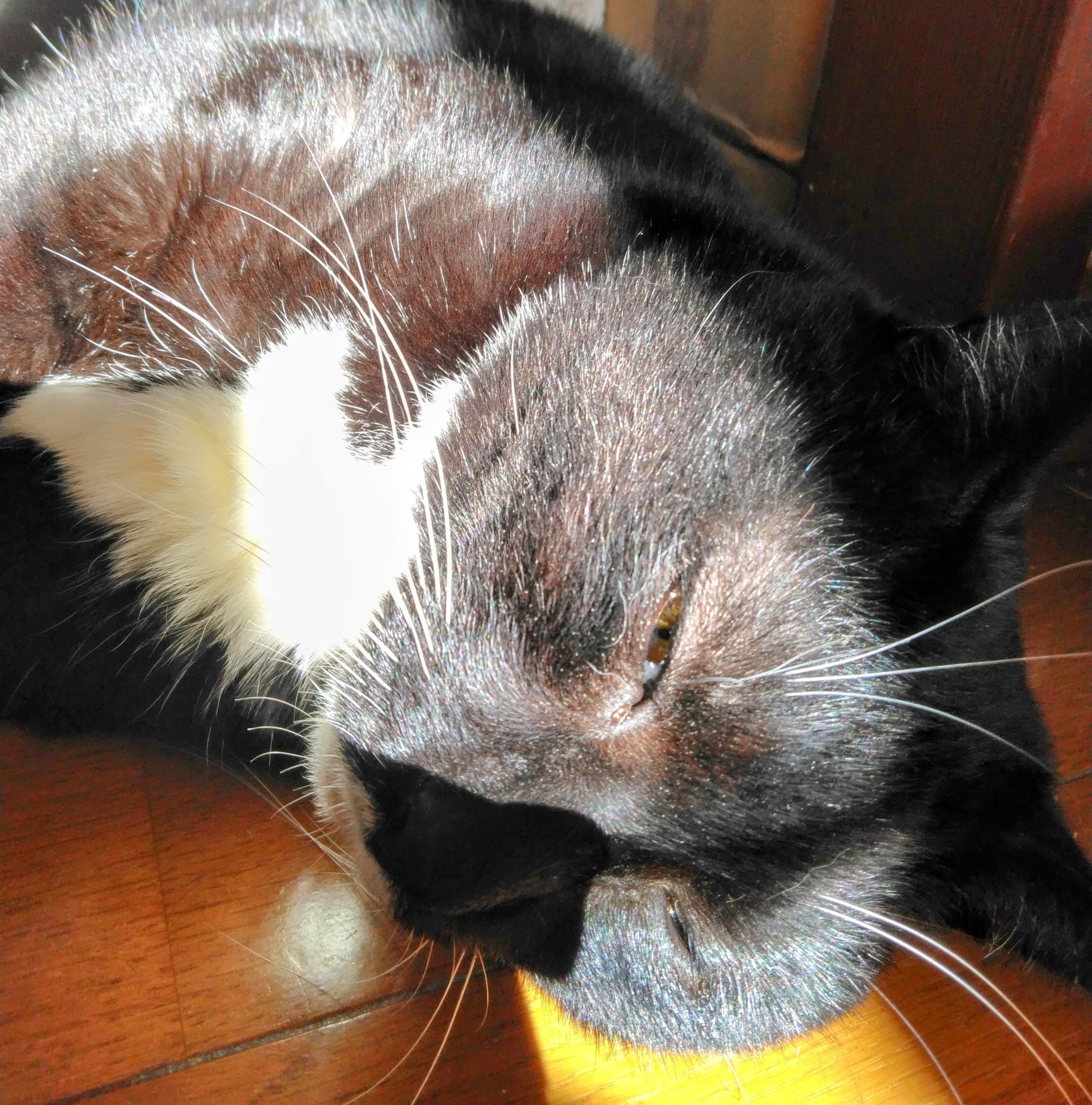 2024�N�Ō�̐����t�s