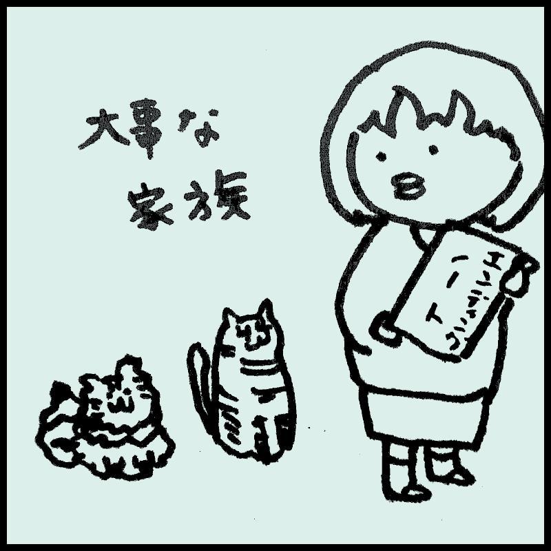 �I���ɂ��čl����