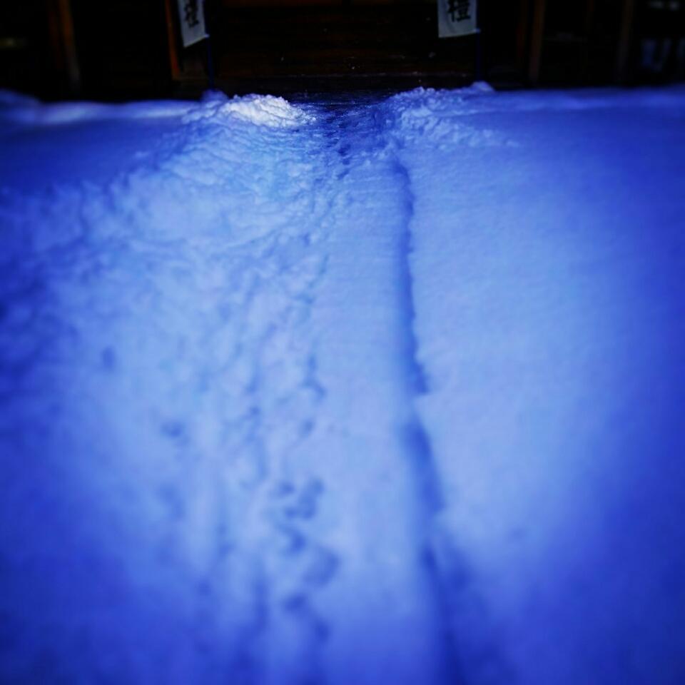 �D�����Ƃ�������