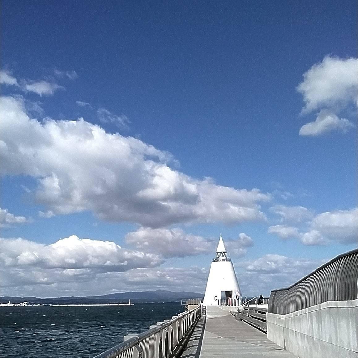 �ꂵ�����Ɍ����铔���