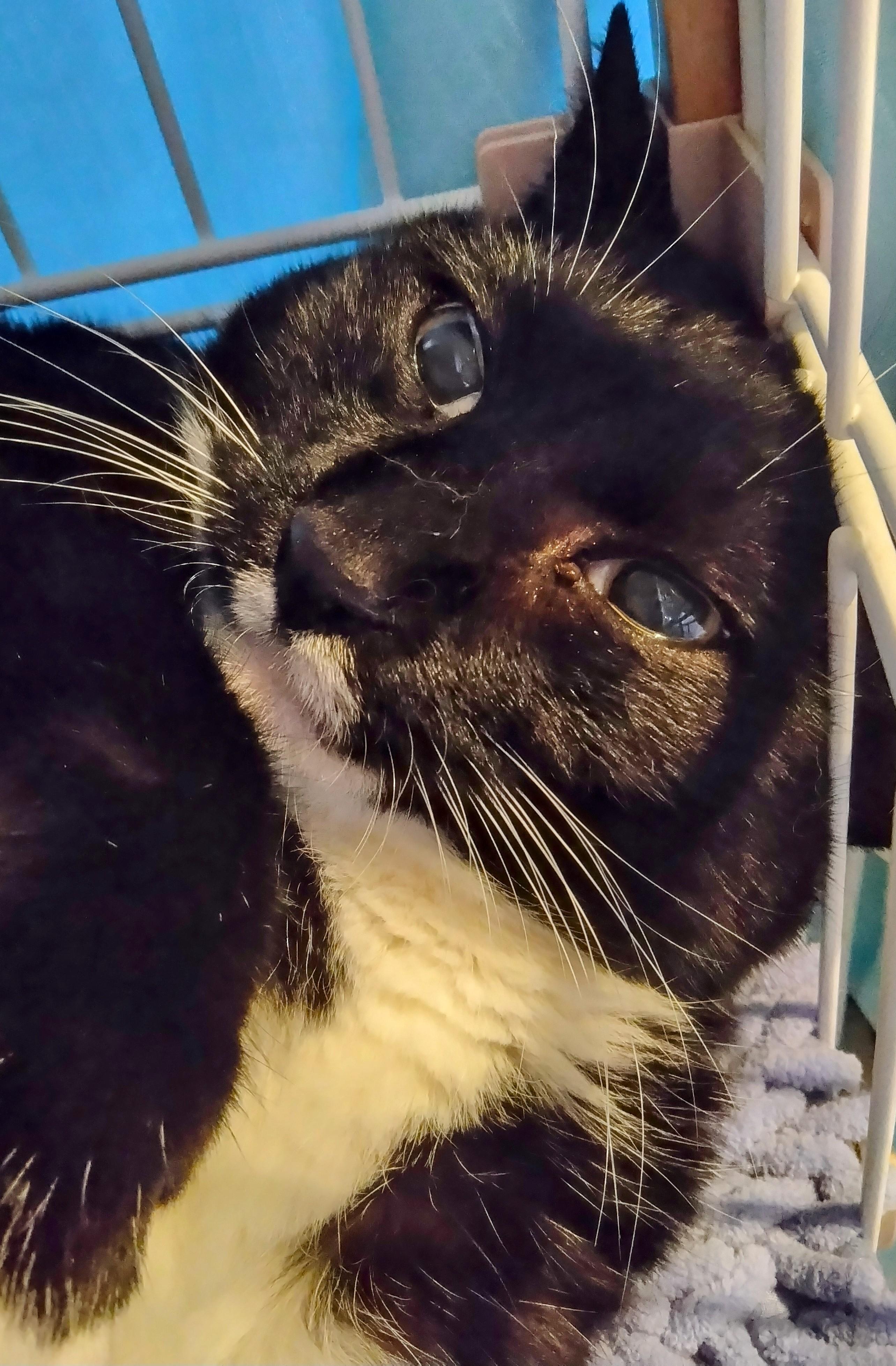 8�O�����̑z��