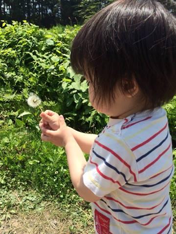 �w�Z����̐g�̌����\���݂āE�E�E