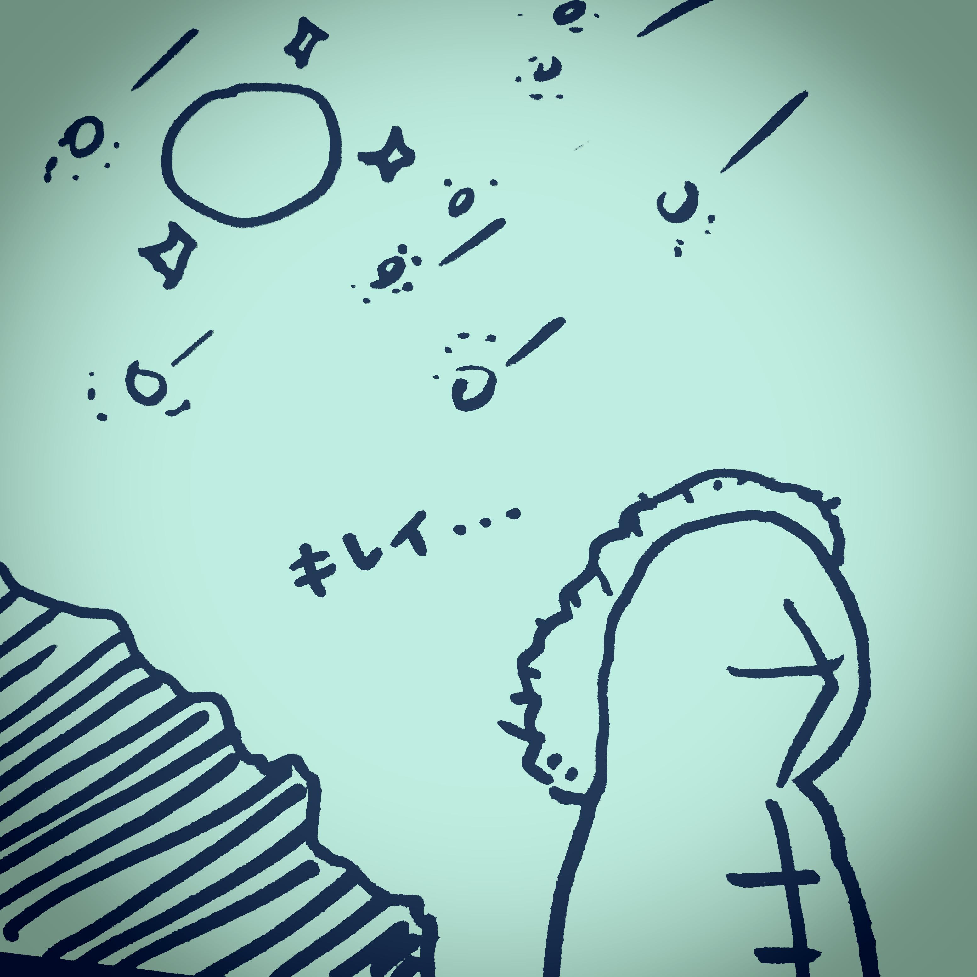 �_��I�ȃX�m�[���[��