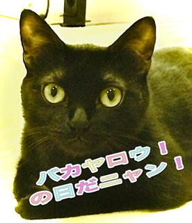 �����ɂ������Ȃ�R4.2.28����