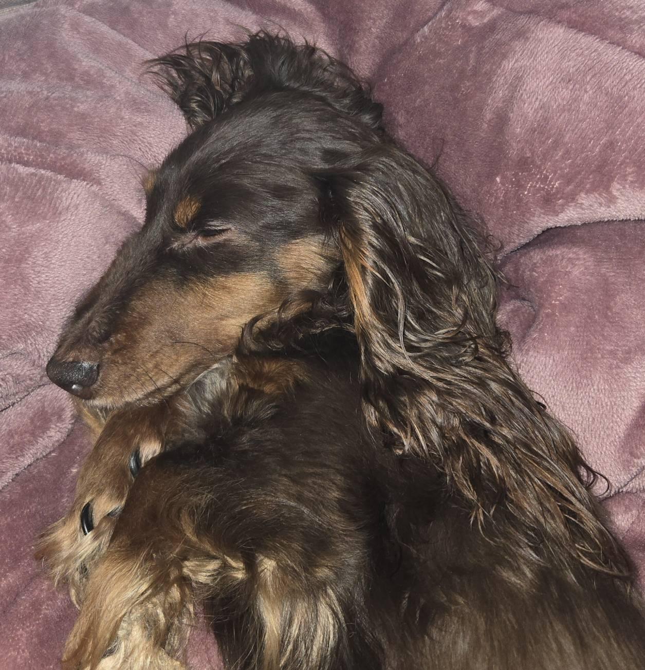 �U��9���@�^��