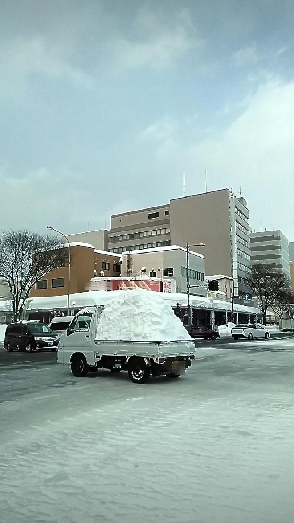 �g���b�N�ɐς�ł�ӊO�ȃA���I���摜����