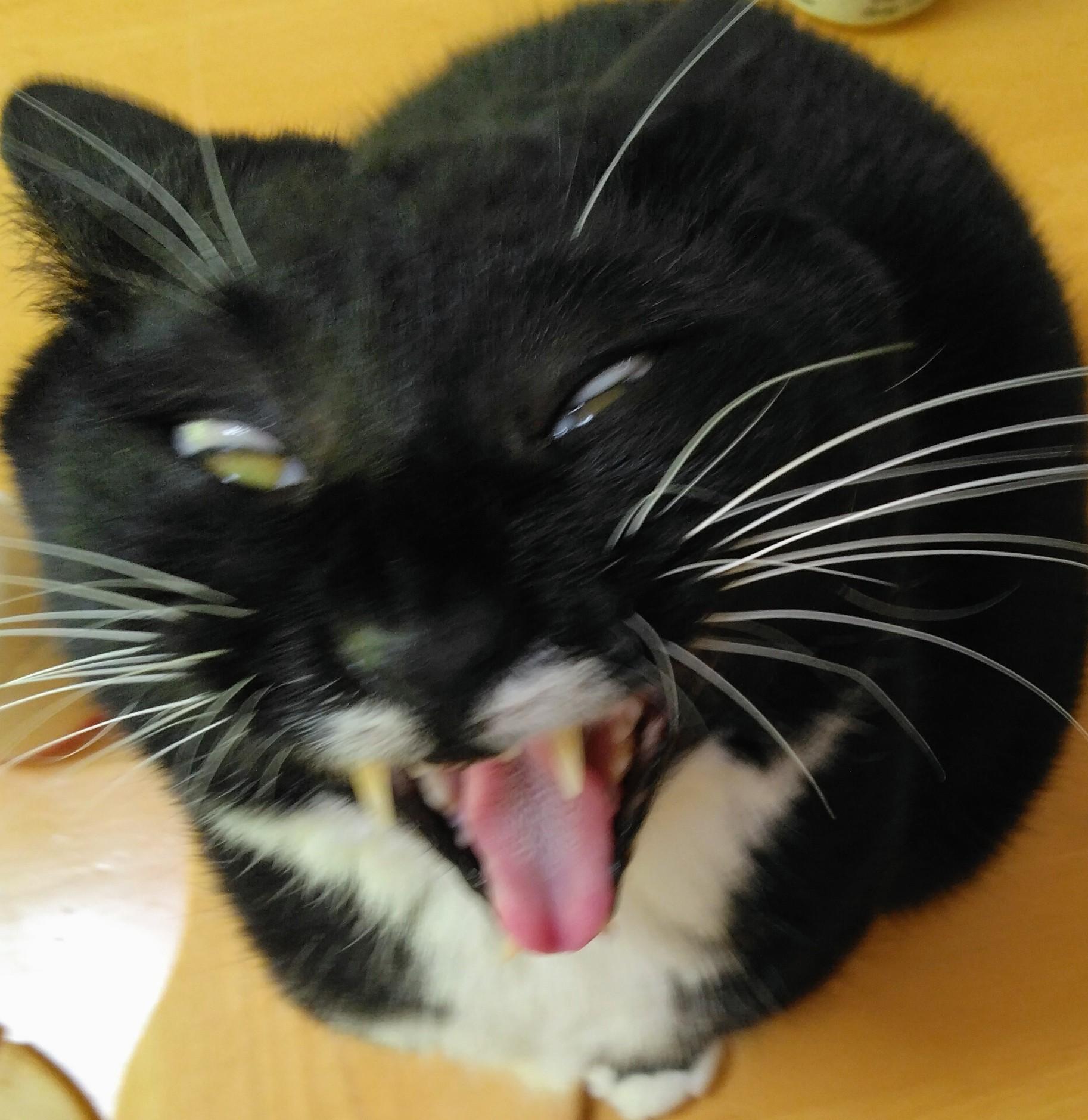 �����܂Ȃ�