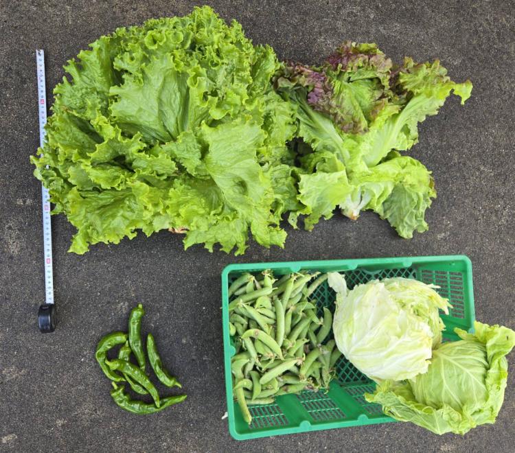 �U��5���@�����^