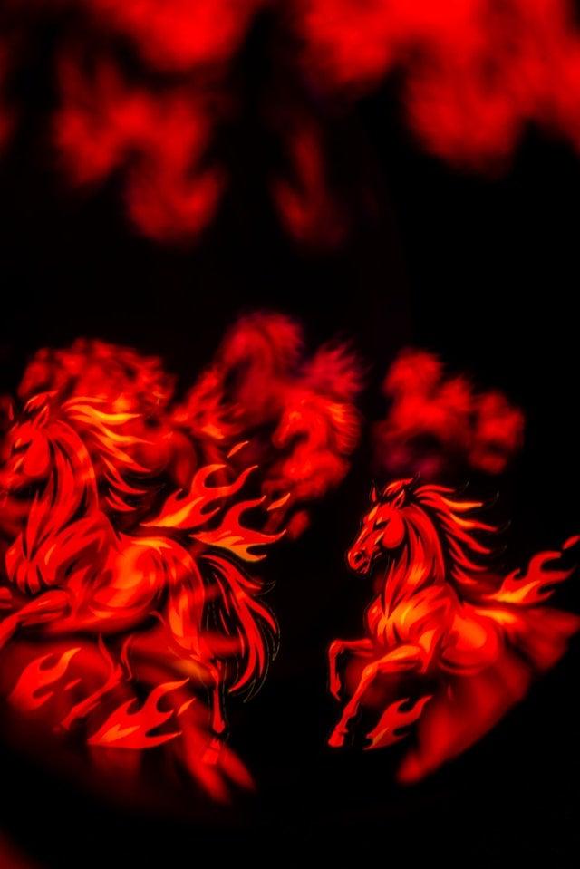 [�J�^]�P�O�O���n�͂̋��^�𖡕��ɂ���