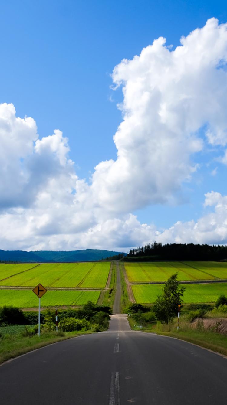 ���������^�C�~���O�I�����̃��b�Z�[�W�I