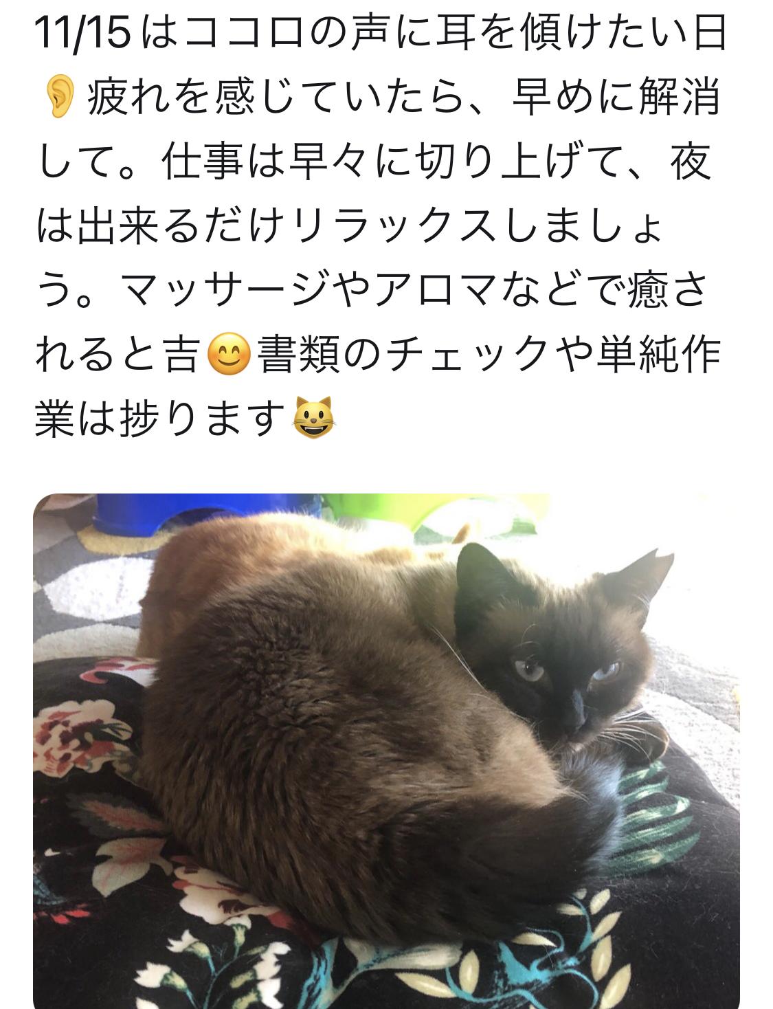11/15�̐���p���b�Z�[�W