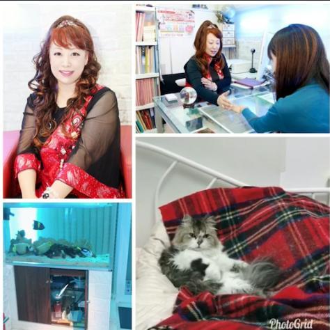 �_�l����̃��b�Z�[�W