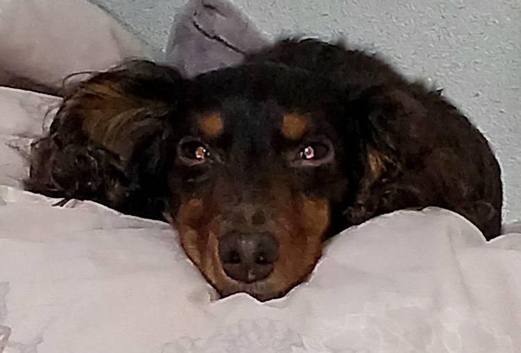 �P��15���@�^��