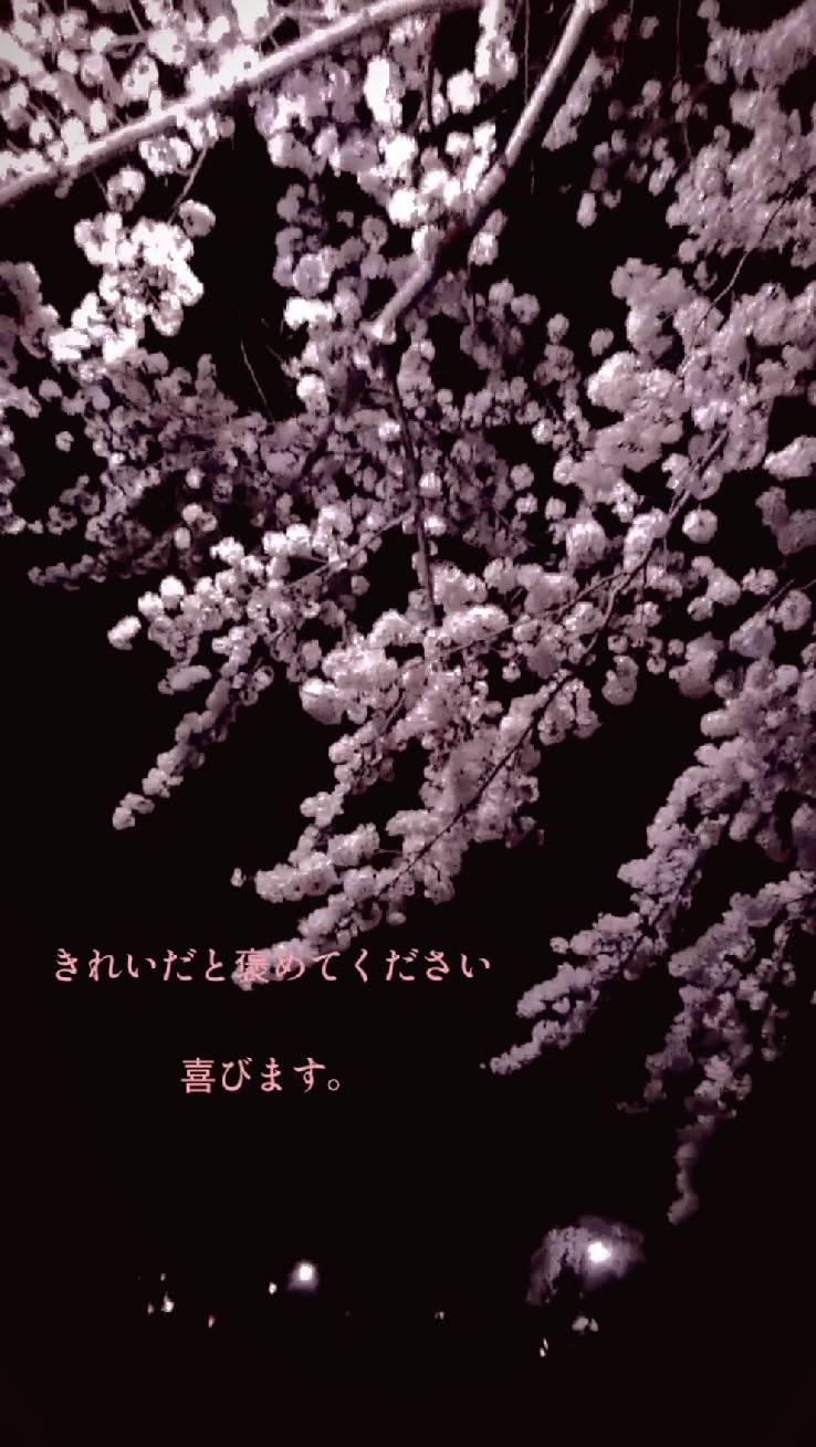 ���ꂢ�ƖJ�߂Ă�������