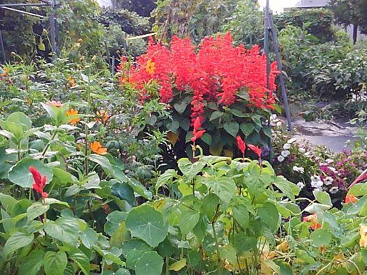 ���Z���N�C�Y