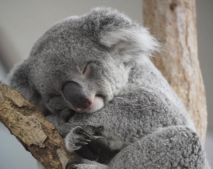 �����l�ł����i^^�j