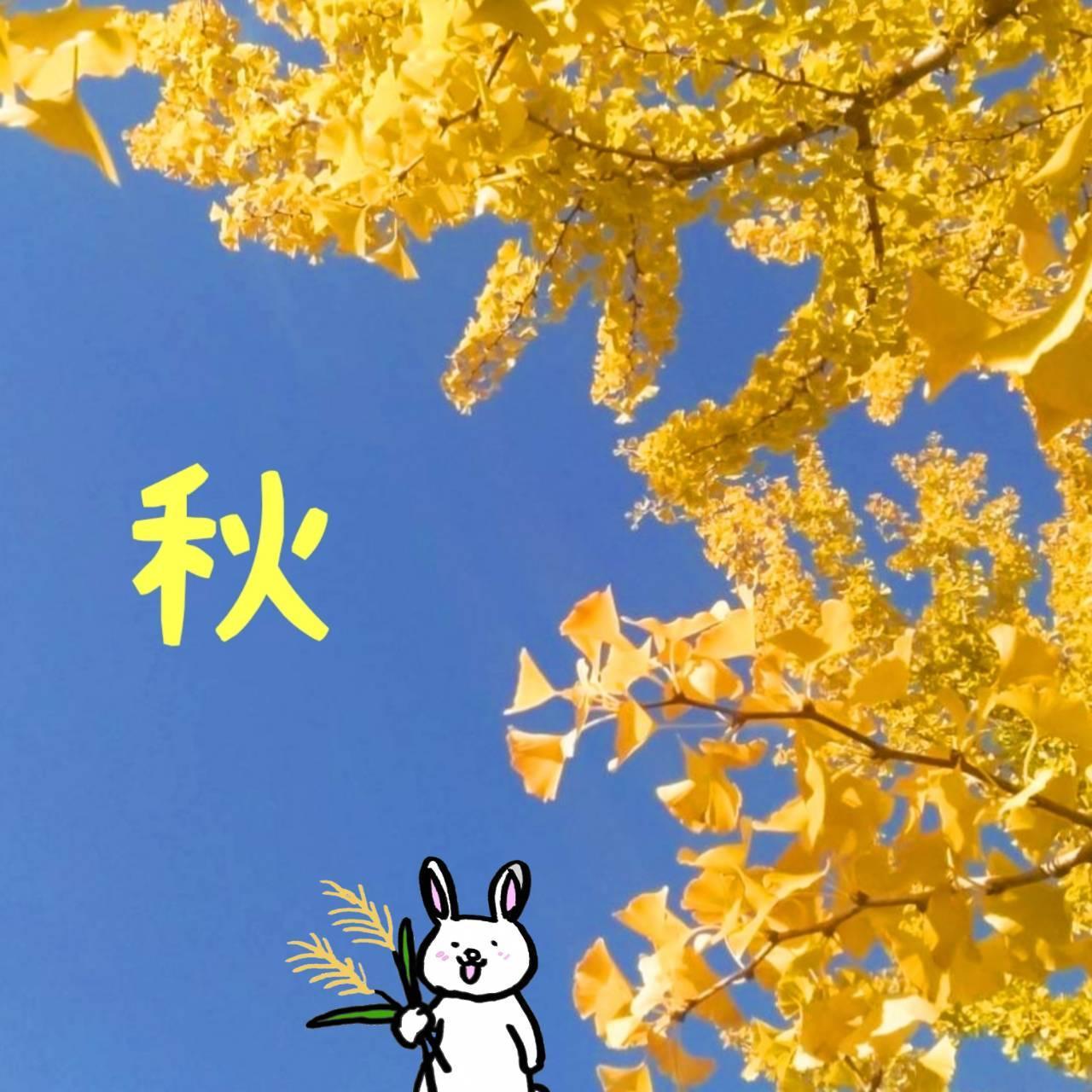 �g�t���i��ŁA�X���ʂ��Ă��܂���