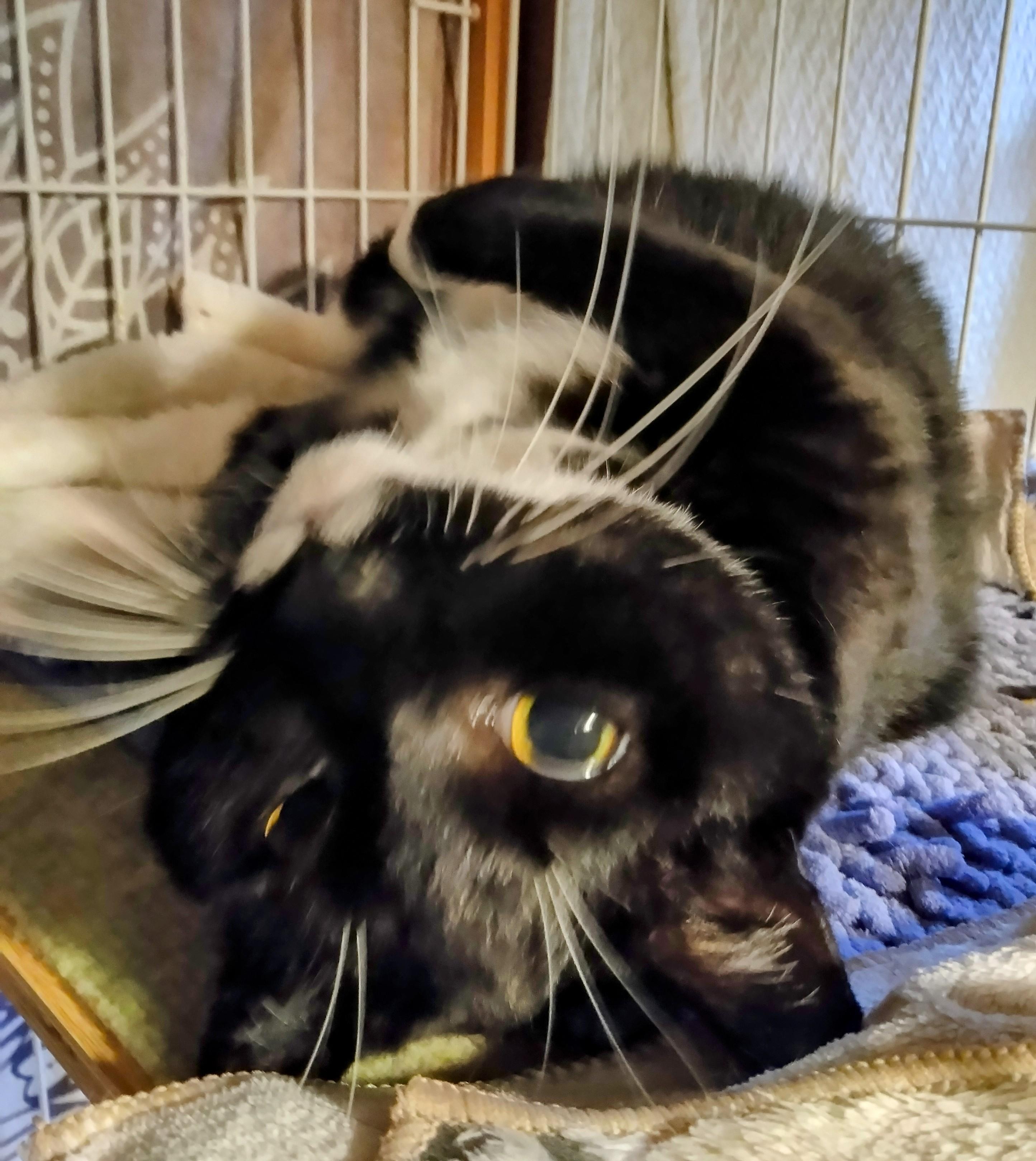 �ق�̂����[��