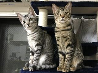 ��ՁBR3.12.17.����